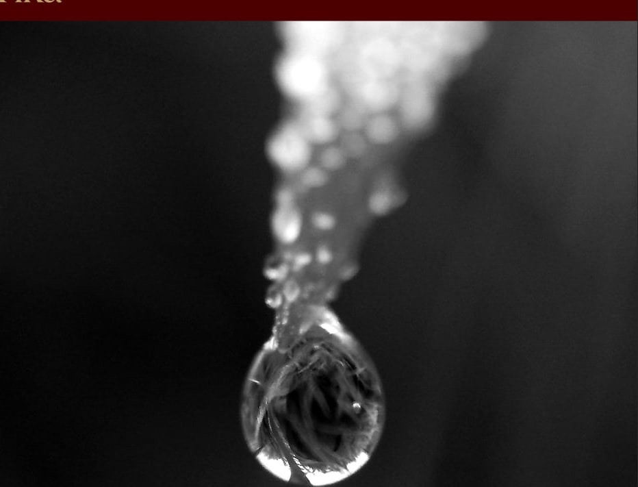 Macro photo of a glistening water droplet